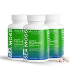 Organic Sea Moss 3 Pack |Halea Life: Nutrition & Skincare