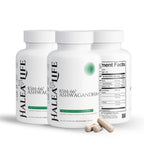 Halea Life KSM-66 Ashwagandha Plus 3-Pack 90-Day Supply bottle pack 600mg KSM-66