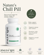 KSM-66 Ashwagandha Plus Capsules
