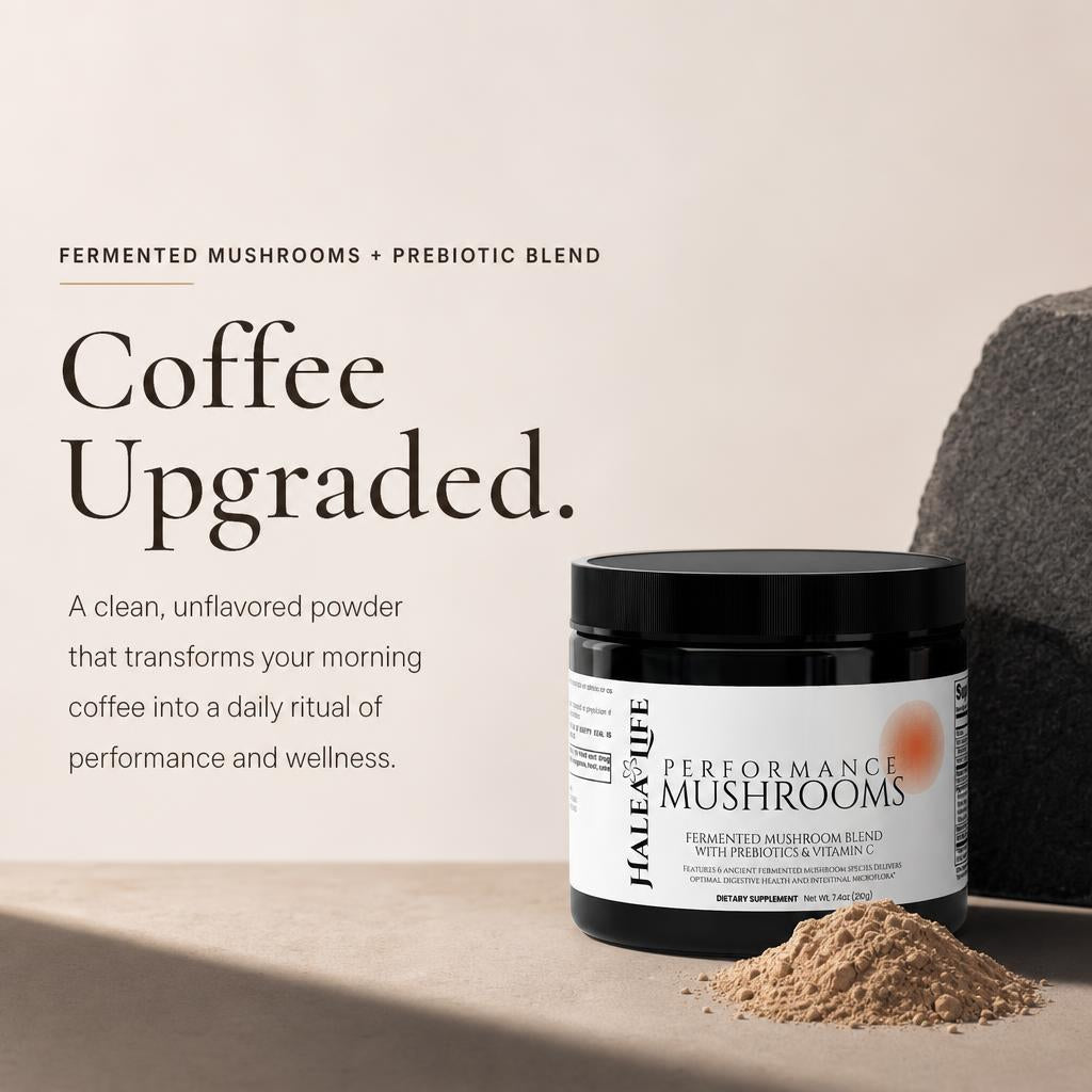 Fermented Mushrooms + Prebiotic Blend