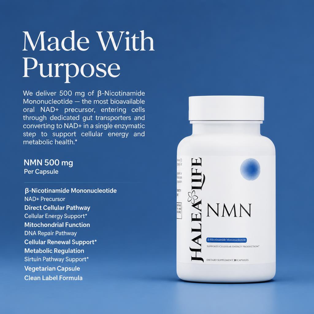 Halea Life NMN 500mg infographic showing beta-Nicotinamide Mononucleotide NAD+ precursor pathway